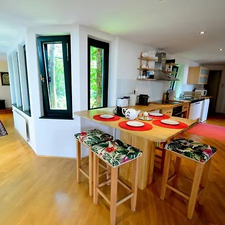 Green Haven Roofgarden Penthouse In Central Area Vienne Extérieur photo