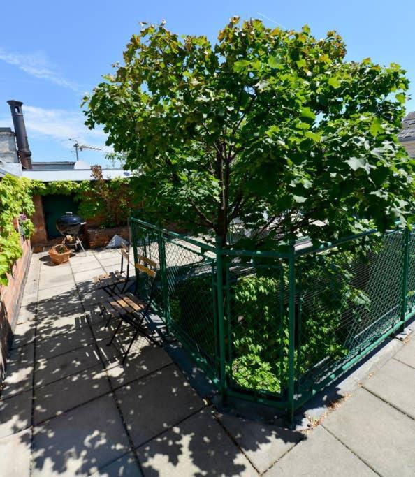 Haven Roofgarden Penthouse In Area * Vienne